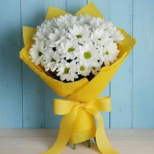 Букет цветов из:  Хризантемы в Новобурейский