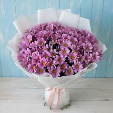Букет цветов из:  Хризантемы в Новобурейский
