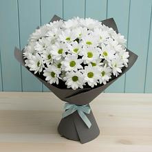 Букет цветов из:  Хризантемы #REPLACE_PRED# Новобурейский